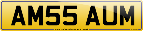 AM55 AUM