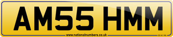 AM55 HMM