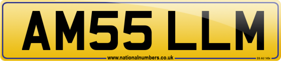 AM55 LLM