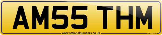 AM55 THM