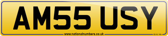 AM55 USY