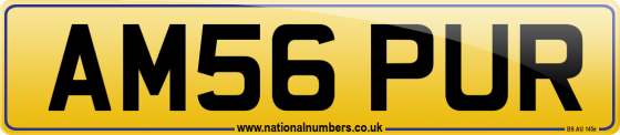 AM56 PUR