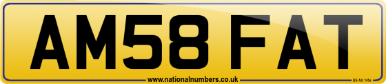 AM58 FAT