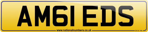 AM61 EDS