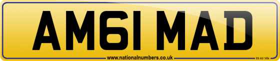 AM61 MAD