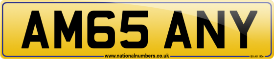 AM65 ANY