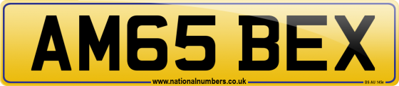 AM65 BEX