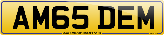 AM65 DEM