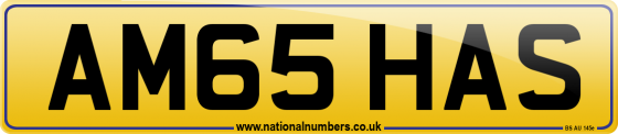AM65 HAS