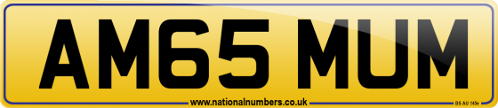 AM65 MUM