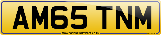 AM65 TNM
