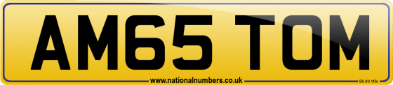 AM65 TOM