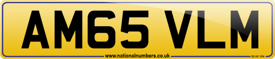 AM65 VLM