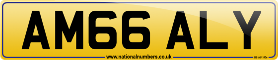 AM66 ALY