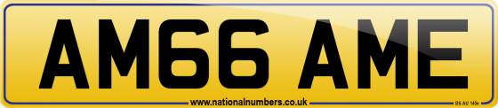 AM66 AME