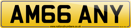 AM66 ANY