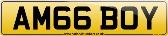 AM66 BOY