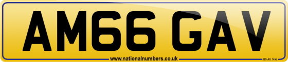 AM66 GAV