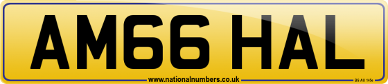 AM66 HAL