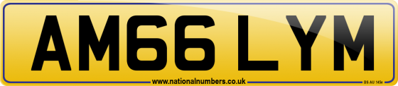 AM66 LYM