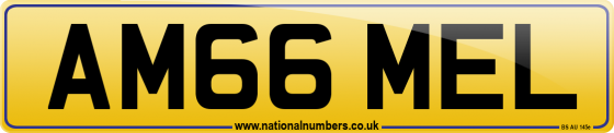AM66 MEL