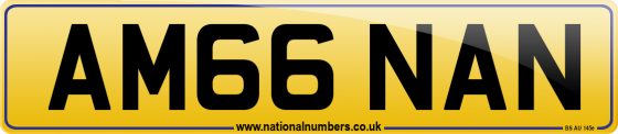 AM66 NAN