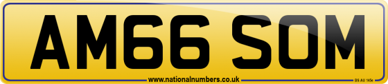 AM66 SOM