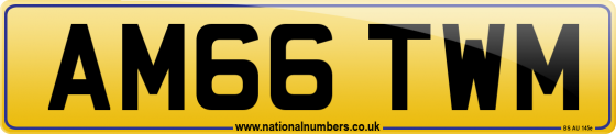 AM66 TWM
