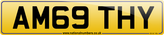 AM69 THY