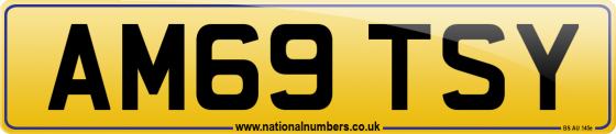 AM69 TSY