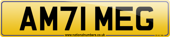 AM71 MEG