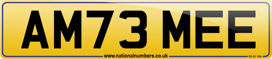 AM73 MEE