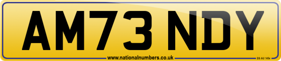 AM73 NDY