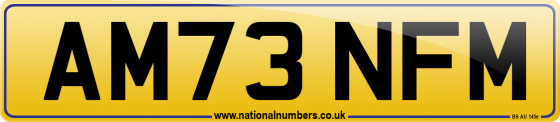 AM73 NFM