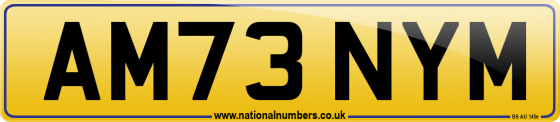 AM73 NYM