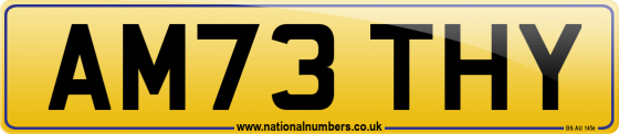 AM73 THY