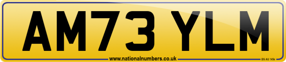 AM73 YLM