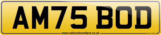AM75 BOD