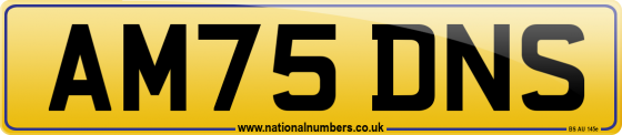 AM75 DNS