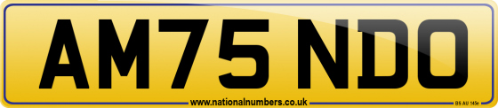 AM75 NDO
