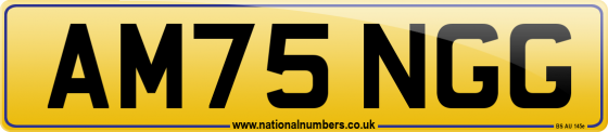 AM75 NGG