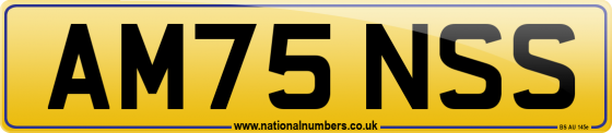 AM75 NSS