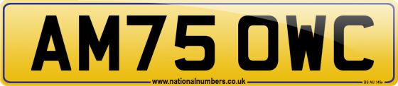 AM75 OWC