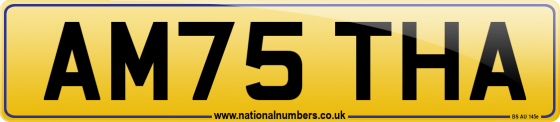 AM75 THA