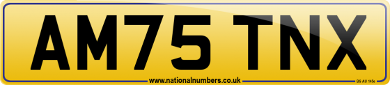 AM75 TNX