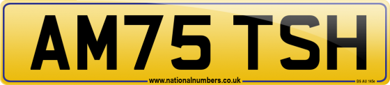 AM75 TSH