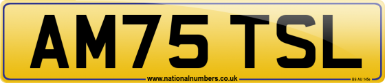 AM75 TSL