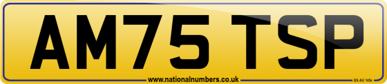 AM75 TSP