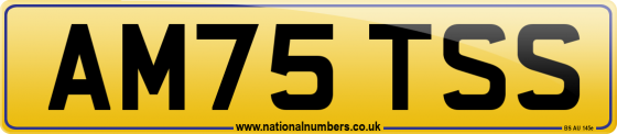 AM75 TSS