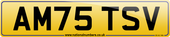 AM75 TSV